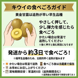 【先行予約】キウイ 黄金甘露 約1.9kg 希少品種 山口県阿武町産【2026年9月中旬～10月中旬発送】