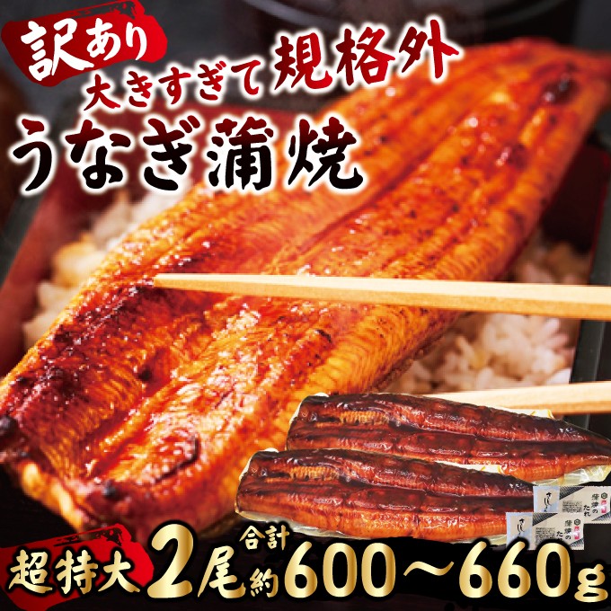
                  ＜訳あり＞ うなぎ 蒲焼き 2尾 計600g以上 (1尾あたり300g～330g×2尾) 冷凍 たれ 山椒 鰻 ウナギ うな重 ひつまぶし かばやき 訳アリ 丑の日 茨城県 【そうざい男しゃく】【ho1685】
                