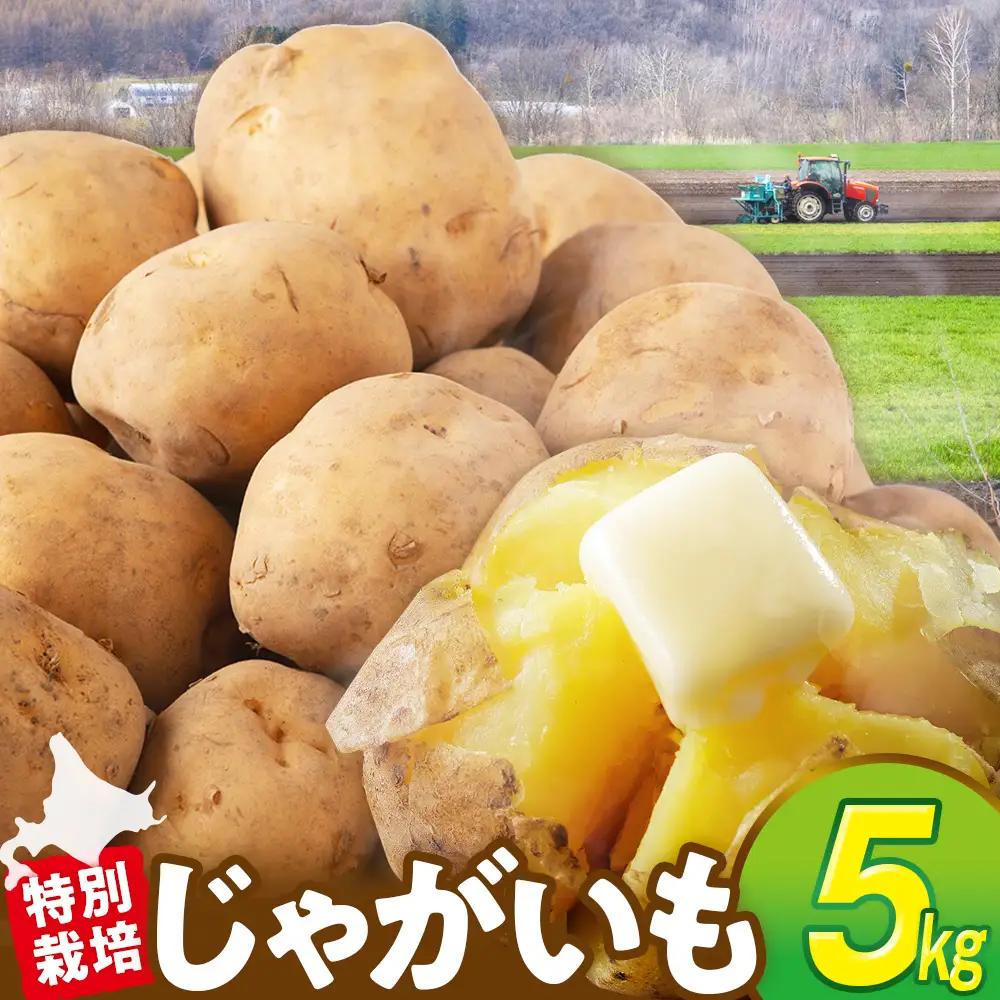 R8年産先行受付 じゃがいも 5kg 特別栽培（男爵） | ジャガイモ 芋 男爵 馬鈴薯 大容量 新鮮 野菜 煮物 カレー シチュー ポテト 保存 特産 産地直送 北海道 津別町 送料無料