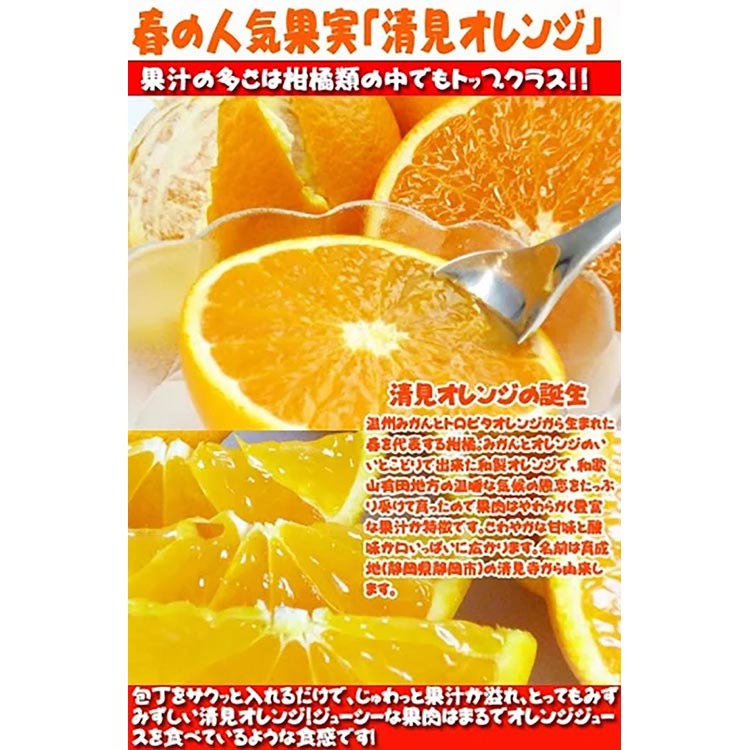 【ご家庭用訳アリ】紀州有田産清見オレンジ　5kg
※2025年3月下旬～4月中旬頃に順次発送予定_イメージ3