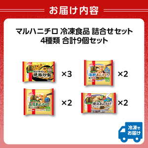 マルハニチロ 冷凍食品 詰合せセット 4種類 合計9個セット 045-005