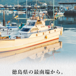 カツオ 藁焼き 3節 約700g 鰹 かつお わら焼き 鰹のたたき