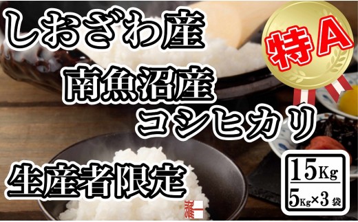 
                  【令和7年産】生産者限定 契約栽培 南魚沼しおざわ産コシヒカリ15Kg（５Kg×3袋）【銘柄米 ブランド米 精米 こしひかり コシヒカリ 魚沼産 新潟米 産地直送 お米 米 こめ コメ ご飯 御飯 ごはん】
                