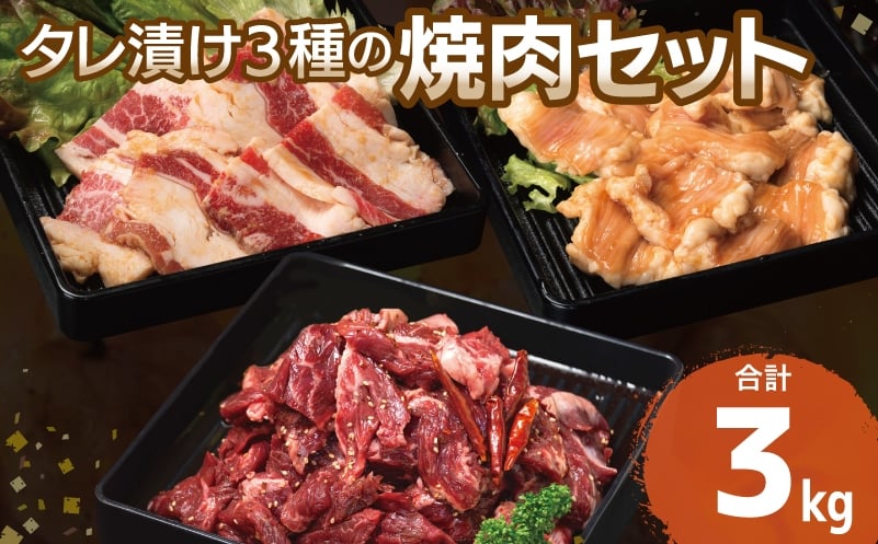 
            【タレ漬け3種の牛焼肉セット】 満足牛ハラミ・牛カルビ・シマチョウ 合計3kg【味付け ハラミ 小分け 焼くだけ 簡単調理 BBQ 牛肉 250g×各4P】
          