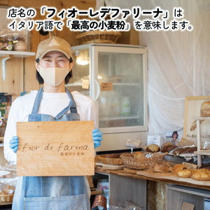 訳あり おまかせパン 20個 パン 天然酵母 国産 小麦 パン パン パン