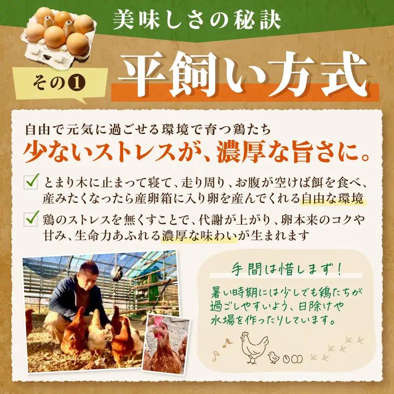 とまり木ファームの平飼い卵（6個入×10パック）【124C-001】