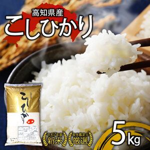 R7年新米コシヒカリ5kg  新米コシヒカリ米米米
