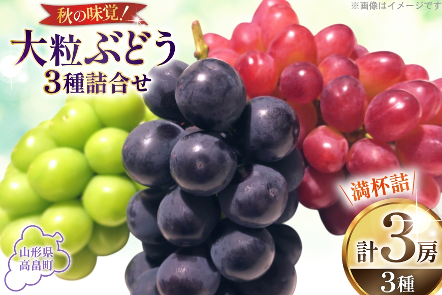 
                  【期間限定発送】 大粒 ぶどう 3種 詰合せ シャインマスカット 1房 大粒ぶどう 2種 2房 計3房 [本田農園 山形県 高畠町 tk06ays820000] ぶどう ブドウ 葡萄 大粒 種なし 果物 くだもの フルーツ
                