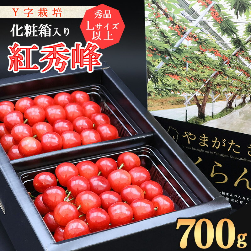 【ふるさと納税】《受付終了間近！》山形県産 さくらんぼ《こだわりのY字仕立て栽培》さくらんぼ「紅秀峰」700g 秀品 Lサイズ以上 化粧箱入り 【2025年6月中旬頃〜7月上旬頃発送予定】／ 2025年産 令和7年産 フルーツ 果物 高級 山形 山形県 生産者直送 楽天ふるさと納税