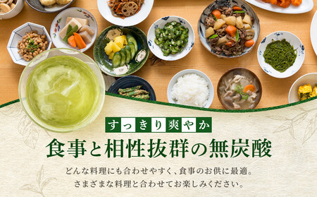 【宝酒造】宝焼酎の濃いお茶割り～カテキン２倍～（335ml×24本）［タカラ 京都 お酒 チューハイ 缶チューハイ 酎ハイ サワー お茶 人気 おすすめ 定番 おいしい ギフト プレゼント 贈答 ご自