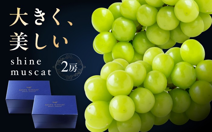 
                  【先行予約】シャインマスカット 2房 bloom leaf 【ブルームリーフ合同会社】 [BKBI001]／ シャインマスカット しゃいんますかっと シャイン マスカット ますかっと Shine Muscat 2房 葡萄 ブドウ ぶどう 旬 フルーツ ふるーつ fruit 果物 くだもの 果実 人気 愛媛県 愛媛県産 内子町産 国産 新鮮 贈答 贈り物 プレゼント 人気 おすすめ 送料無料
                