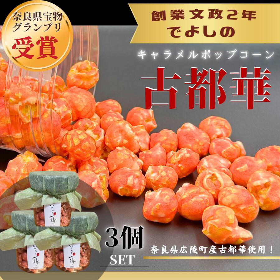 【ふるさと納税】濃密体験！ 【古都華 キャラメルポップコーン】3個セット///古都華 ポップコーン スイーツ お菓子 プレゼント ギフト 奈良県 広陵町