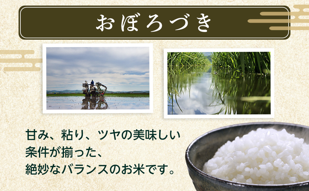 令和7年産　おぼろづき 無洗米 真空パック 5kg×1袋 5kg【 白米 精米 ご飯 ごはん 米 5kg お米 旭川市 北海道 】_06547