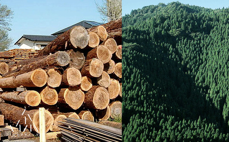 大切な1本のためのペンケース PenLog(ペンログ)　日田市 / 山とデザイン室　ペンケース 日田杉 筆箱[AREZ002]