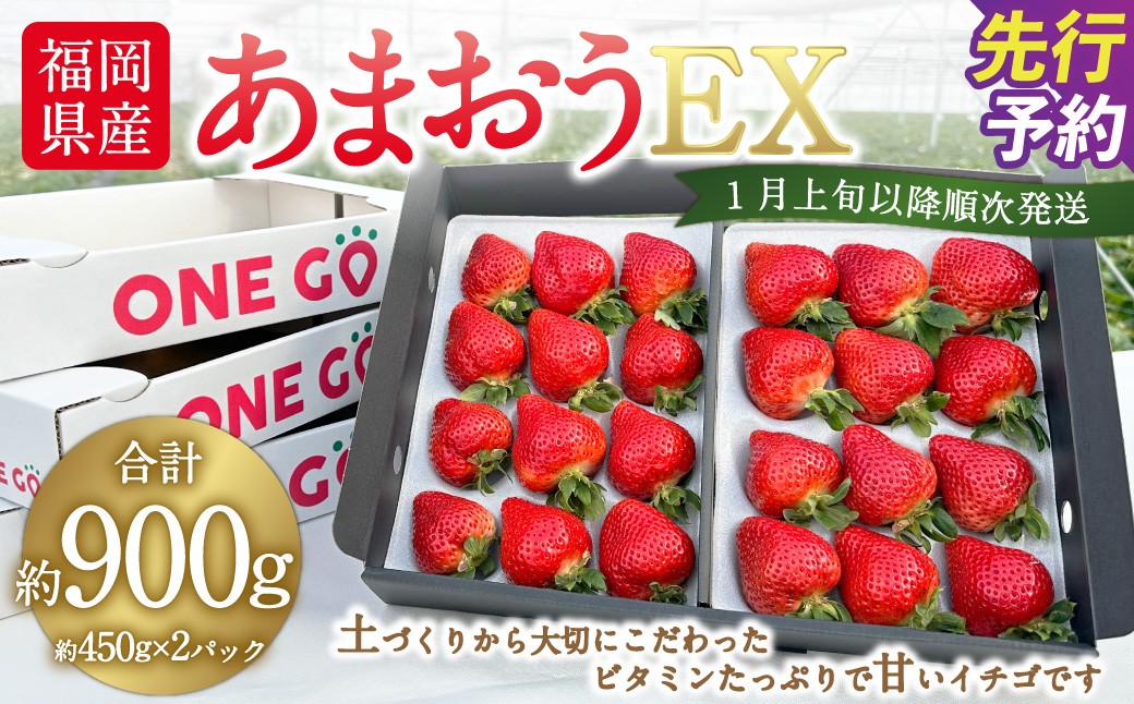 
                  ギフト配送 福岡県産あまおう EX 約450g×2パック 〈特別栽培〉いちご イチゴ 苺 くだもの 果物 フルーツ 冷蔵 福岡県 【2027年1月上旬～3月下旬発送予定】
                