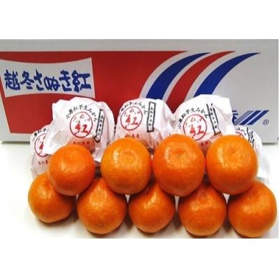 ふるさと納税 多度津町 『越冬小原紅早生みかん』約3kg【令和8年1月頃より発送!】【B-33】 |  | 01