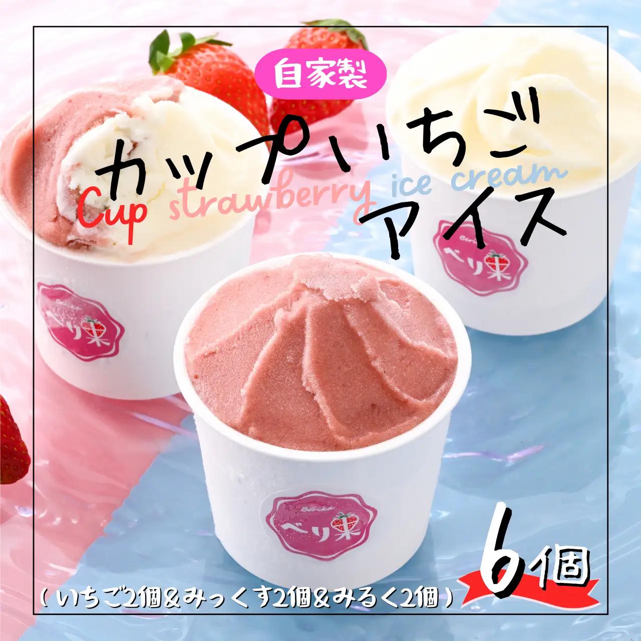 アイスクリーム 6個 どら焼きアイス 3個