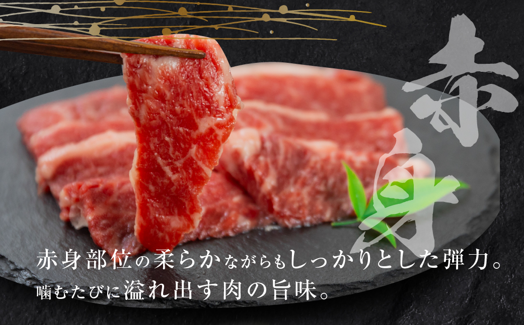 飛騨牛 焼肉 切り落とし 500g × 2 計 1kg | 牛肉 肉 切落し わけあり 訳あり商品 ワケアリ 不揃い 小分け 切り落とし小分け 冷凍 すぐ届く 本巣市 トキノ屋 食品 訳有 焼肉セット