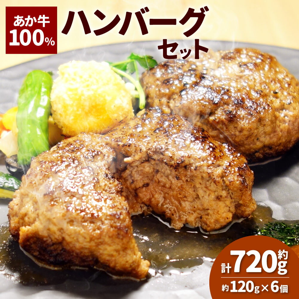 【ふるさと納税】あか牛100％ ハンバーグセット 計720g（120g×6個） 和牛 牛肉 お肉 褐毛和種 惣菜 冷凍 熊本県産 国産 九州 熊本県 湯前町 送料無料