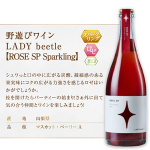 フジクレール 野遊びワイン LADY beetle【WHITE.N】【ROSE SP Sparkling】【ORANGE.N】3本セット（MG）D5-634【ワイン フジクレール 白ワイン ロゼワイン