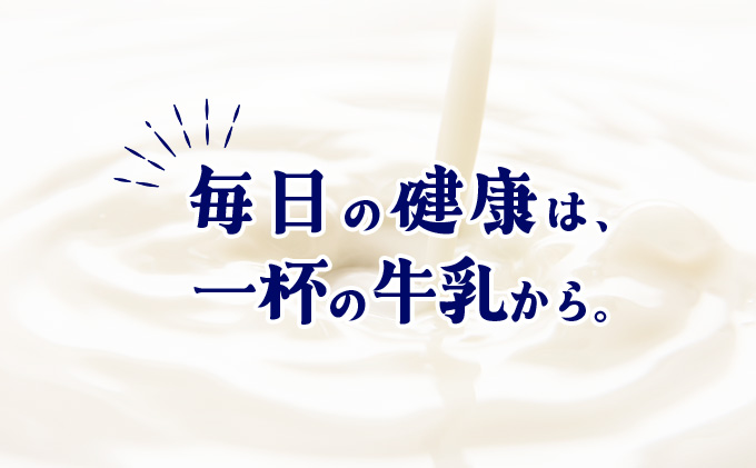 【定期便3ヶ月】森永1000mlと秋田のおいしい牛乳1000ml 6本セット（各3本） 135P7803