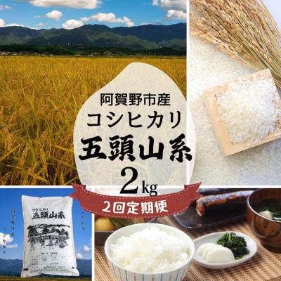 ふるさと納税 阿賀野市 【令和7年産】【2回定期便】「米屋のこだわり阿賀野市産」コシヒカリ2kg×2回 |  | 01