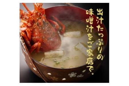 伊勢海老1.5kg（2～5尾）　【魚介類 えび 伊勢えび イセエビ 伊勢海老】