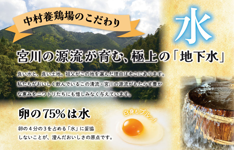新鮮たまご 赤玉 Lサイズ 30個 明和町 中村養鶏場 卵 たまご 生卵 生たまご 鶏卵 国産 濃厚 ny2