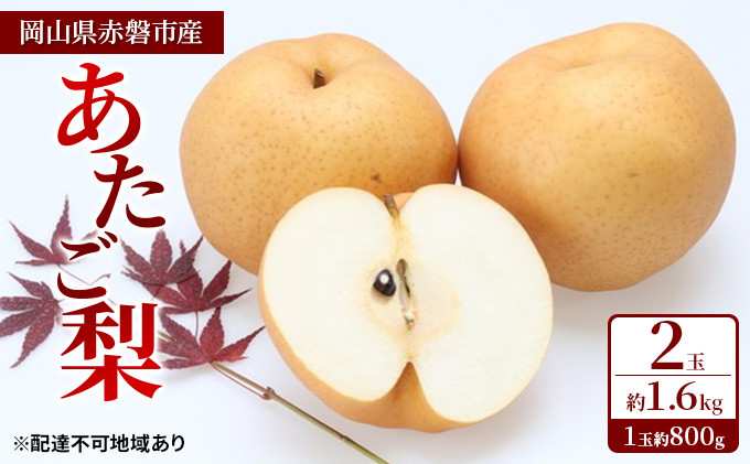 
あたご梨 2玉 約1.6kg（1玉約800g）岡山県赤磐市産【配達不可：離島】
