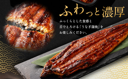国産「特大うなぎ蒲焼」1尾(230〜250g)と特製タレ1個セット_NA17
