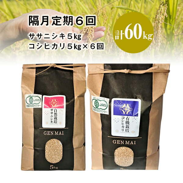 【ふるさと納税】《 新米先行予約 》隔月 定期便 6回 令和7年産 新米 有機栽培米 コシヒカリ 5kg 自然栽培米 ササニシキ 5kg ふるさと納税 選べる 玄米 精米 お米 食べ比べ ご飯 米 コメ お弁当 料理 おにぎり おむすび ギフト プレゼント 贈り物 岩手県 一関市