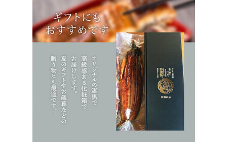 【土用の丑の日までにお届け！】【大型サイズ】国産 大型サイズ ふっくら柔らか 国産うなぎ蒲焼き 2尾 化粧箱入 先行予約 国産 うなぎ ウナギ 鰻 蒲焼 土用の丑の日 丑の日【uot302-dy】 