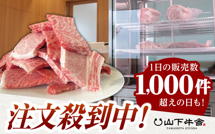 【訳あり】佐賀牛 焼肉セット 1kg 佐賀牛 赤身 バラ ロース 焼肉 焼き肉 ロース 切り落とし 不揃い