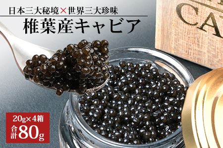 【桐箱入り】HEIKE CAVIAR 80ｇ 【宮崎県 椎葉村】 チョウザメ キャビア【世界三大珍味×日本三大秘境】国産 チョウザメ キャビア 80g 魚卵 魚介 珍味 SZ-110