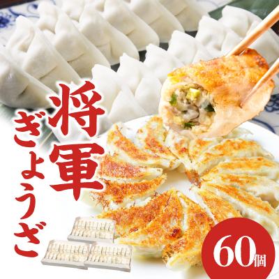 ふるさと納税 大分市 餃子専門店の餃子 将軍餃子 60個_A02033