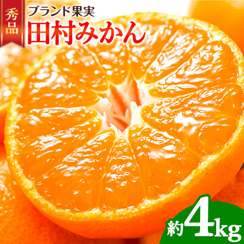 【先行予約】田村みかん 秀品 4kg (サイズおまかせ)とち亀物産 紀伊国屋文左衛門本舗《2025年11月下旬-1月中旬頃出荷予定》和歌山県 日高町 田村みかん 有田みかん みかん 果物 フルーツ ブランド果実