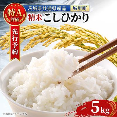 ふるさと納税 水戸市 先行予約【令和8年産】コシヒカリ 5kg 《9月より順次発送予定》 (茨城県共通返礼品/城里町)