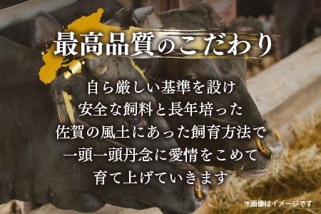 艶さし！【A4～A5】佐賀牛サーロインステーキ 600g(150g×4枚)【佐賀牛 A4等級以上 サーロイン ステーキ 霜降り 脂の甘み 赤身 芳醇な香り ジューシー 逸品 記念日】(H112272)