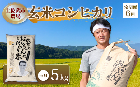 【玄米6回定期便】 令和7年度 玄米 コシヒカリ 数量限定 各5キロ 