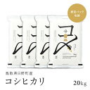 【ふるさと納税】【新米】【令和6年産】鳥取県産コシヒカリ 20kg（5kg×4）米 コシヒカリ こしひかり お米 白米 精米 20キロ おこめ こめ コメ 送料無料 真空パック包装 真空包装 長期保存 単一原料米 鳥取県日野町産 Elevation 予約