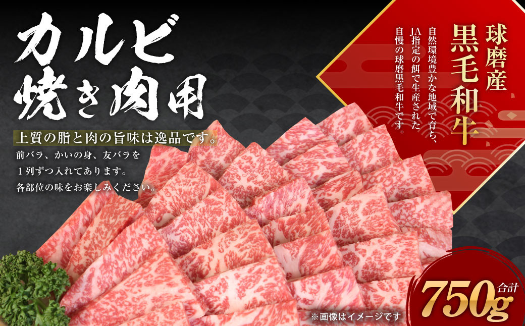 球磨産 黒毛和牛 カルビ 焼き肉用 750g