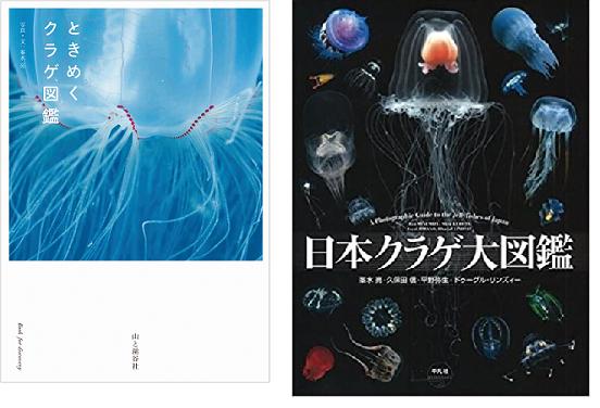 
                  清水町ふるさと大使（清水町在住） 海洋生物写真家　峯水亮氏　『ときめくクラゲ図鑑』＆『日本クラゲ大図鑑』　２冊セット
                