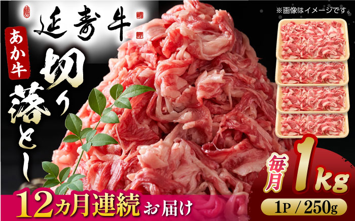 
                  【12回定期便】熊本県産 延寿牛 あか牛 切り落とし 約 250g×4P 牛肉 切り落とし 小分け 国産 和牛 ブランド牛 小分け 冷凍 肉 牛こま こま肉 肉じゃが 炒め物 野菜炒め 使い方色々 ヘルシー 九州産 熊本産 山鹿市 送料無料 定期便【有限会社 九州食肉産業】 [ZDQ137]
                