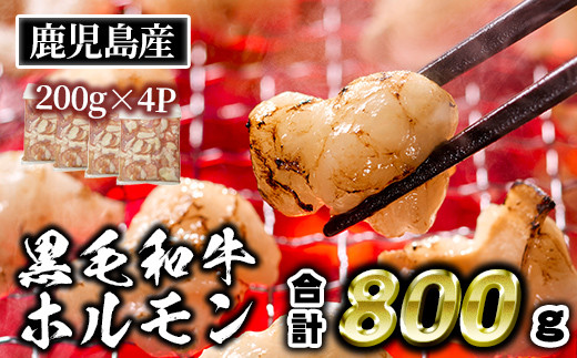 
isa530 ≪毎月数量限定≫鹿児島産黒毛和牛ホルモン(合計800g・200g×4P)【財宝】
