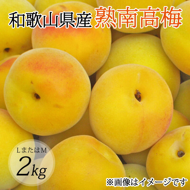 【ふるさと納税】 【梅干し・梅酒用】（LまたはM−2Kg）熟南高梅＜2025年6月上旬〜7月上旬ごろに順次発送予定＞