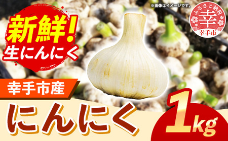 にんにく 1kg - 2026年度 幸手市産 採れたて ニンニク ガーリック きあり農園