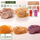 【ふるさと納税】【愛媛いっぱい！】善蔵 せんべいセット（5種類 計5個） | 食品 加工食品 人気 おすすめ 送料無料