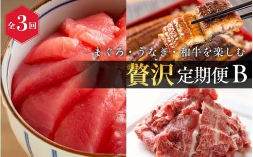
                  【3回定期便】【毎月お届け】まぐろ・うなぎ・和牛を楽しむ贅沢定期便B / 鮪 マグロ 刺身 鰻 ウナギ 蒲焼 熊野牛 肉 牛肉 和牛 黒毛和牛 赤身 こま切れ 【tkb387】
                