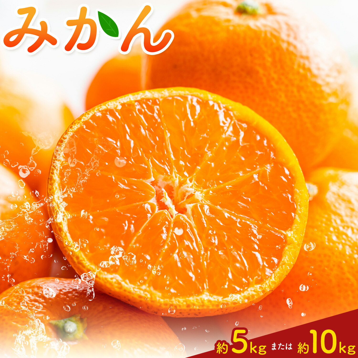 【ふるさと納税】みかん5kg または 10kg 高橋商店《10月下旬-1月中旬頃出荷》熊本県 苓北町 柑橘 かんきつ 果物 フルーツ みかん