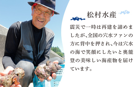 朝獲れ直送！ 活さざえ 約1kg   ～穴水湾でとれた新鮮活サザエ～ | 海鮮 魚介類